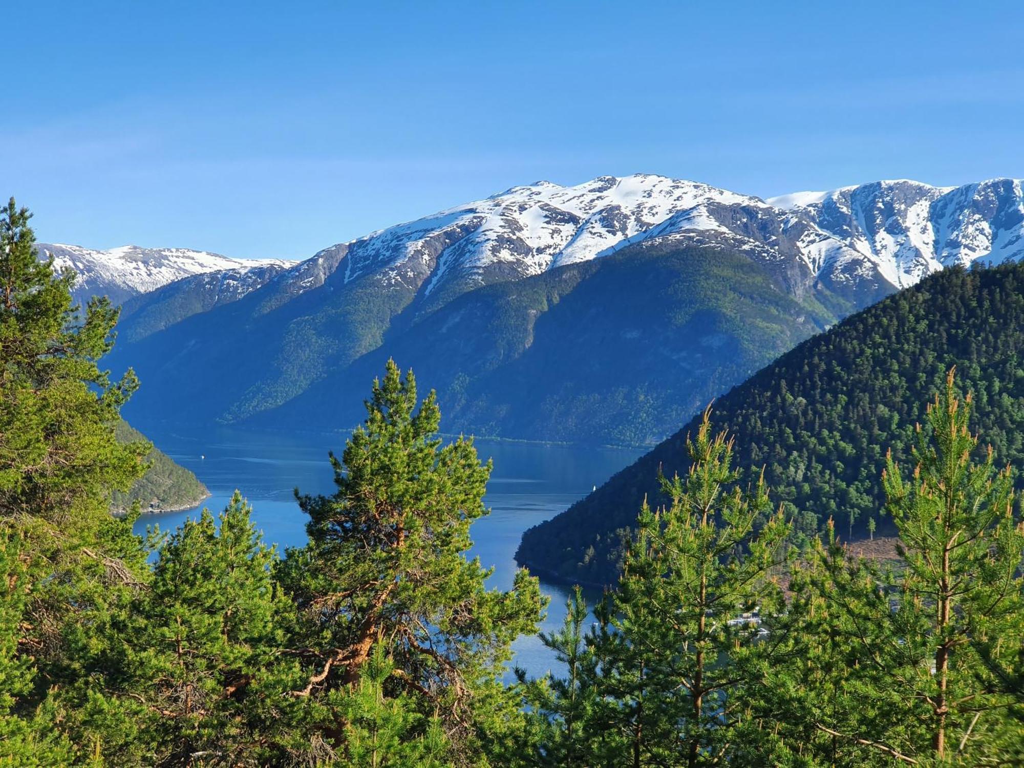 Over The Fjord *