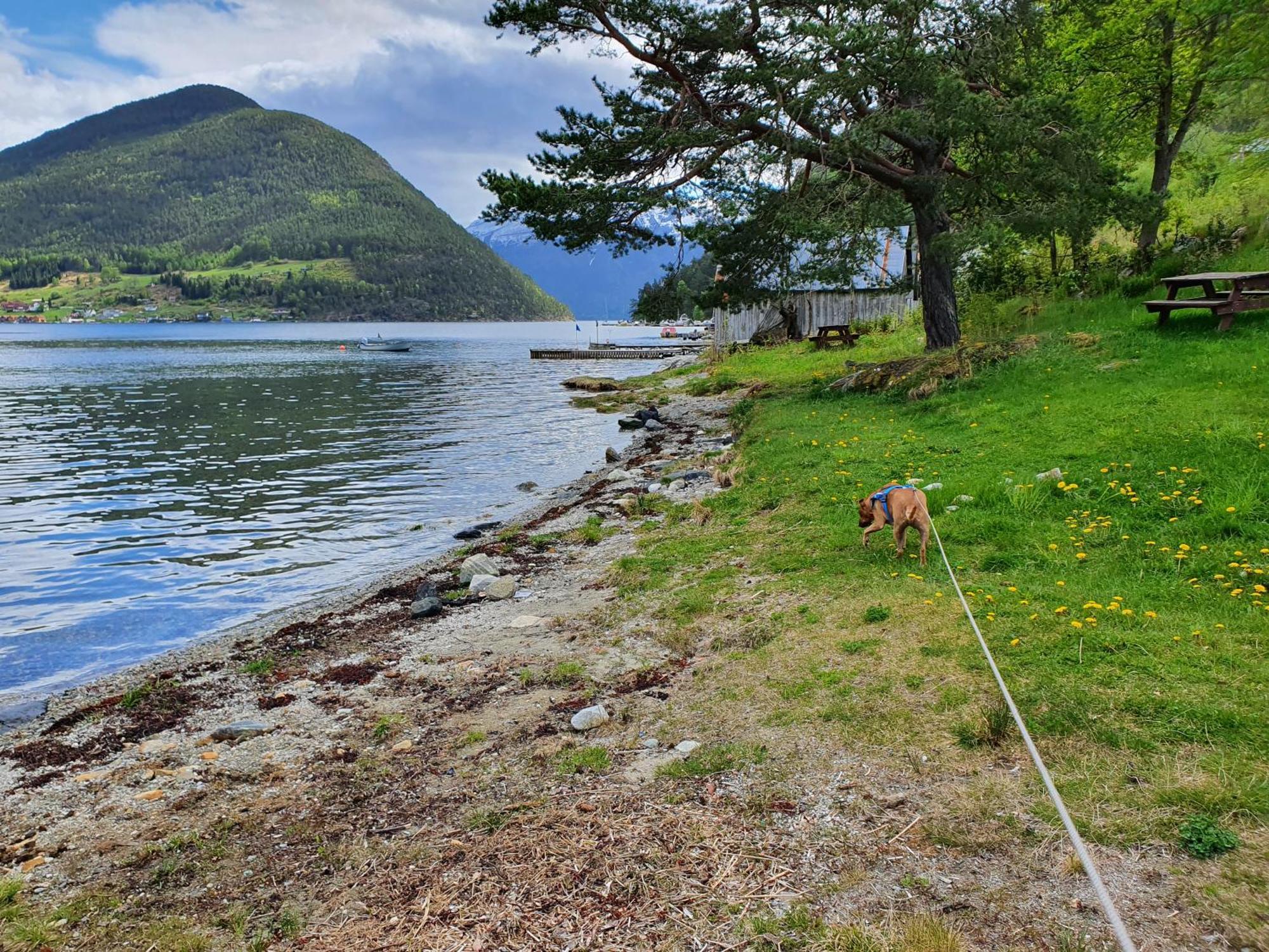 Over The Fjord