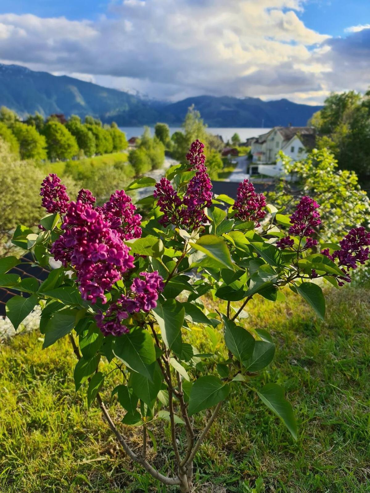 Over The Fjord Leikanger (Sogn og Fjordane)